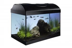 Akváriumi készlet 40 - fekete egyenes 40x25x25 cm